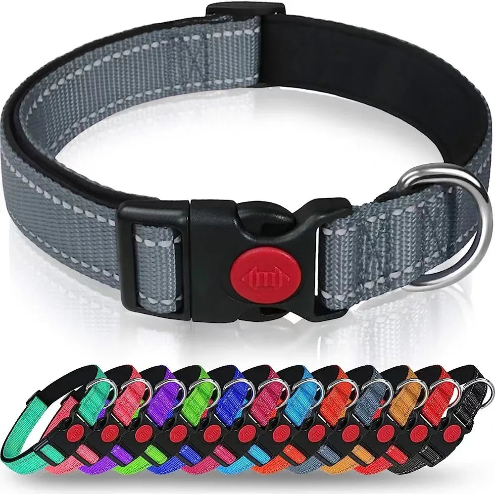 Reflective Neoprene Adjustable Think Nylon Webbing Cat Dog Collar Light with Locking Buckle Modern for Large Dogs
