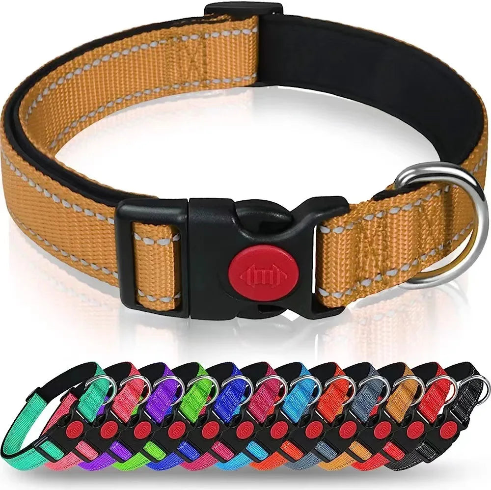 Reflective Neoprene Adjustable Think Nylon Webbing Cat Dog Collar Light with Locking Buckle Modern for Large Dogs
