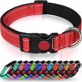 Reflective Neoprene Adjustable Think Nylon Webbing Cat Dog Collar Light with Locking Buckle Modern for Large Dogs