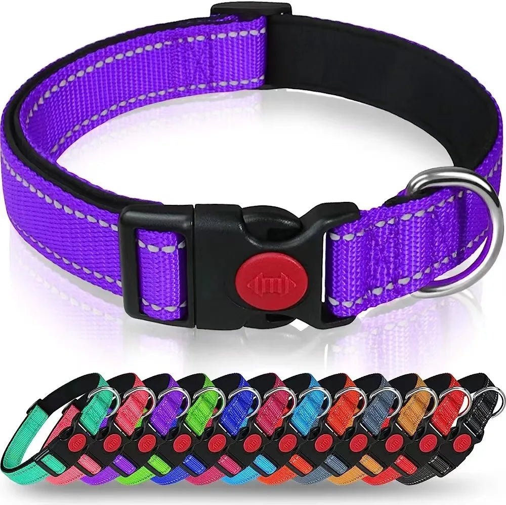 Reflective Neoprene Adjustable Think Nylon Webbing Cat Dog Collar Light with Locking Buckle Modern for Large Dogs
