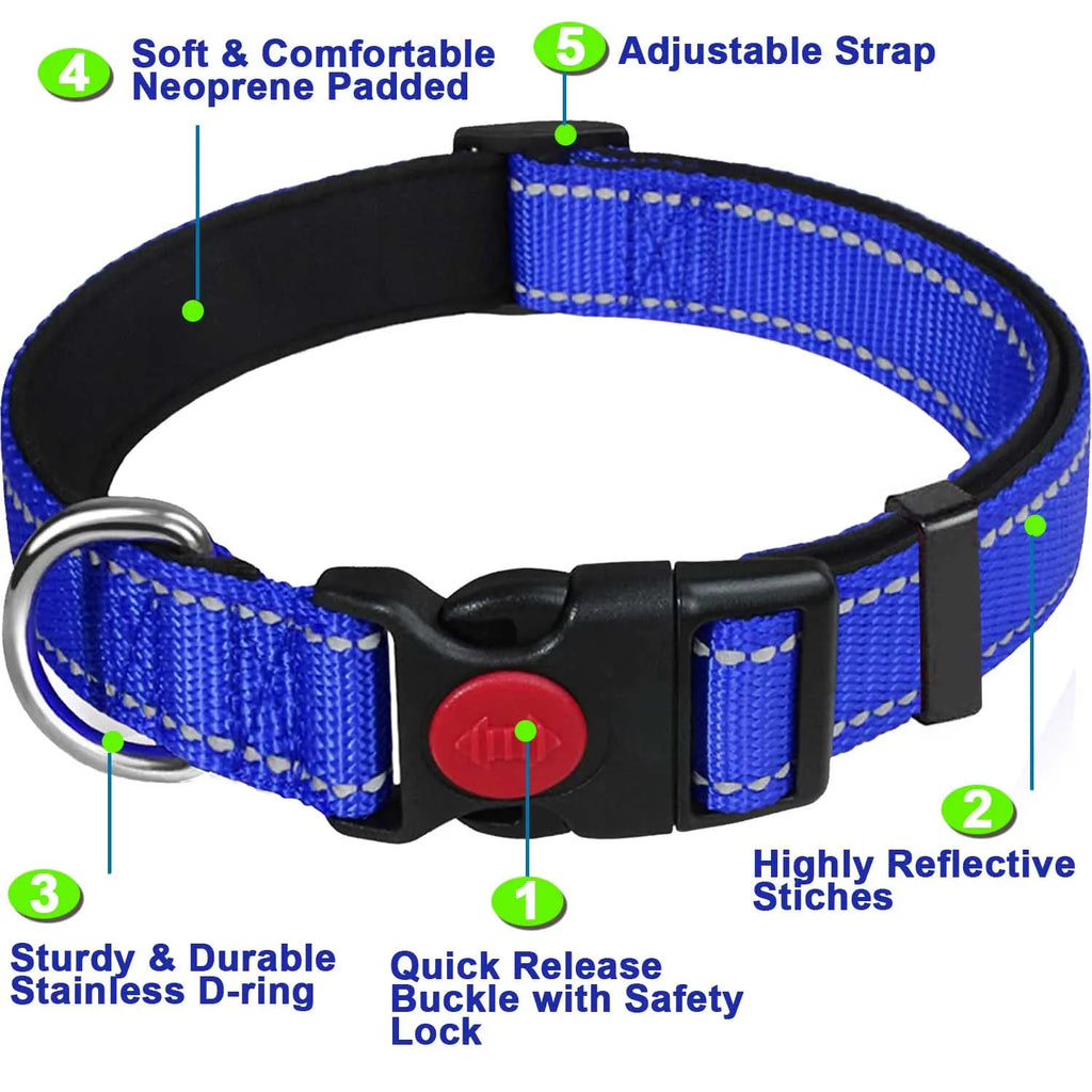 Reflective Neoprene Adjustable Think Nylon Webbing Cat Dog Collar Light with Locking Buckle Modern for Large Dogs