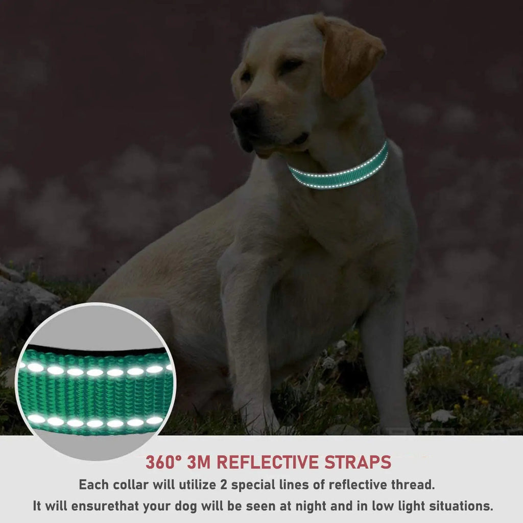 Reflective Neoprene Adjustable Think Nylon Webbing Cat Dog Collar Light with Locking Buckle Modern for Large Dogs