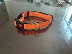 Reflective Neoprene Adjustable Think Nylon Webbing Cat Dog Collar Light with Locking Buckle Modern for Large Dogs