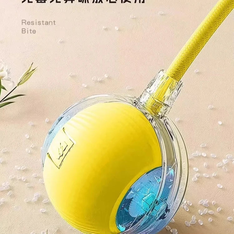 Dog Toy Automatic Walking Ball Bite Resistant Self Entertaining Pet Electric Intelligent Training Interactive Dog Jumping Ball