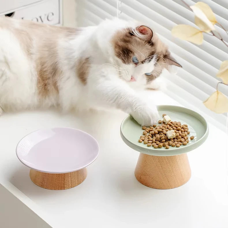 Ceramic High Low Foot Anti Rollover cat Food Freeze-drying Comfortable Cervical Spine Pet Convenient Dining Plate Puppy Bowl