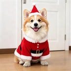 Cross-border Polyester Pet Clothing Funny Dagger-transforming Costume Halloween Pet Supplies Small Dogs Dog Clothes Fall Winter