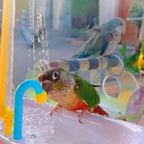 Parrot Bathtub Bird Bathing Electric Bathing Toys Bathing Supplies Premium Bird Supplies Automatic cycle shower