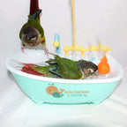 Parrot Bathtub Bird Bathing Electric Bathing Toys Bathing Supplies Premium Bird Supplies Automatic cycle shower