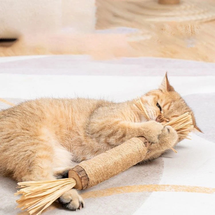 Polygonal Teething Cleaning Stick Cat Cat Teeth Grinding Stick Chewing Cat Toys Refreshing Breath Self pleasure Pet Toys