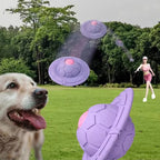 Dog Toys Pet Chewing Bio Based Rubber Biodegradable Outdoor Sports Interactive Running Running Pet Gnawing Toys