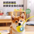 Dog Toy Automatic Walking Ball Bite Resistant Self Entertaining Pet Electric Intelligent Training Interactive Dog Jumping Ball