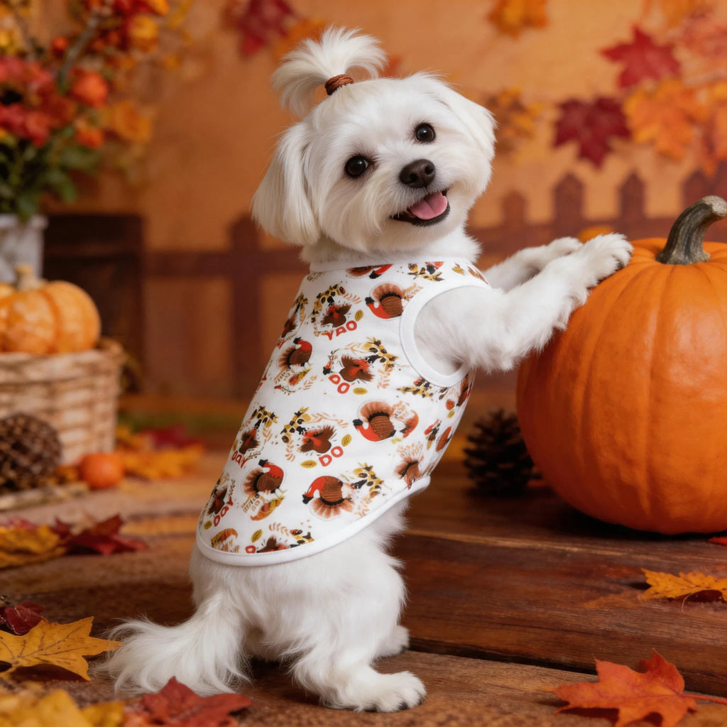 Small dog pet clothing Teddy bear dog summer vest Thanksgiving multi-color anti-shedding pet clothes