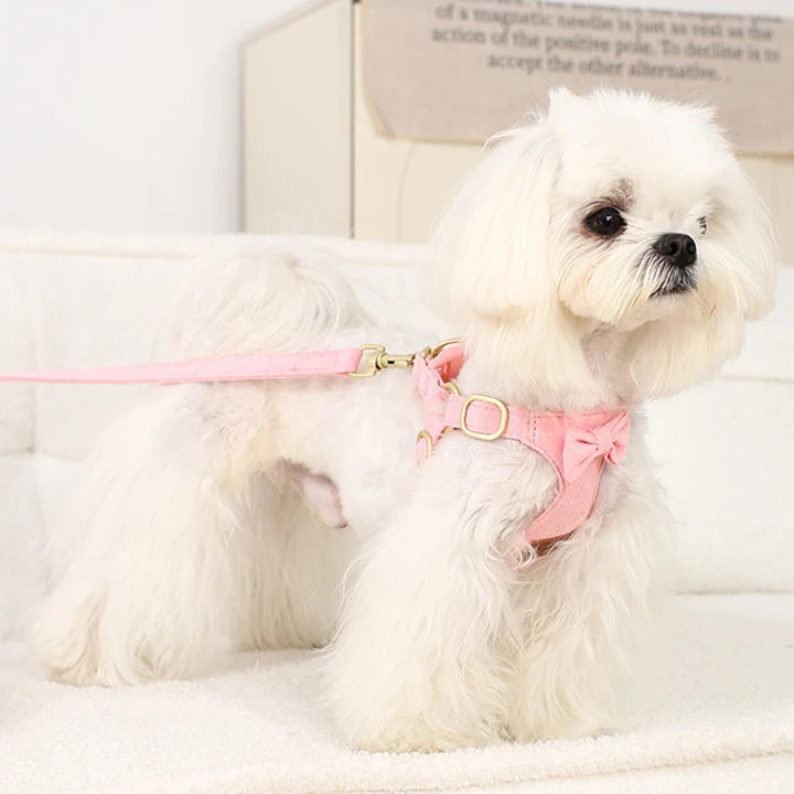 Pet Vest Chest Back Traction Rope Fashionable Three-Piece Chest Harness Dog Collar Dog Pet Supplies Outdoor Walking