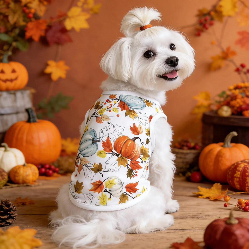 Small dog pet clothing Teddy bear dog summer vest Thanksgiving multi-color anti-shedding pet clothes