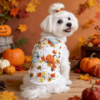 Small dog pet clothing Teddy bear dog summer vest Thanksgiving multi-color anti-shedding pet clothes