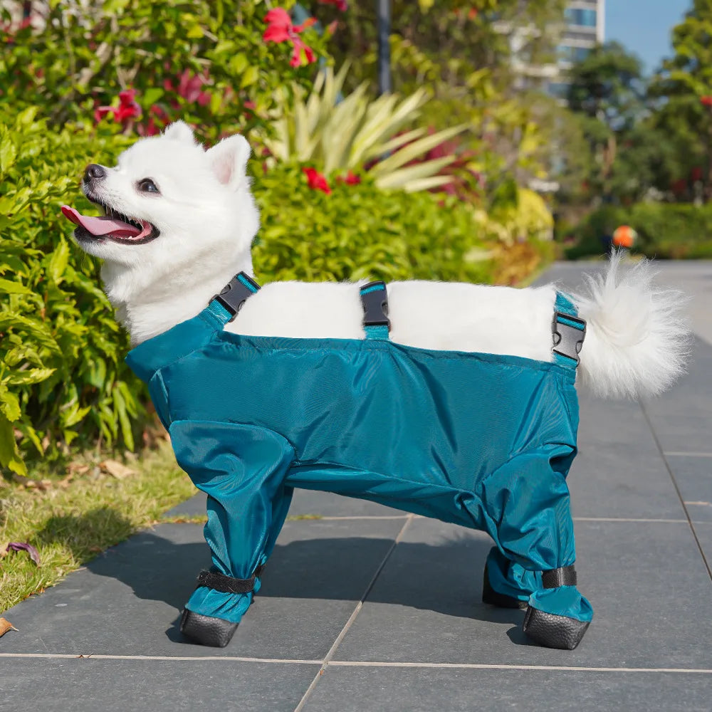 Pet Outings Belly Feet Dust-proof Pants Walking Dogs Waterproof Dirt Proof Knee Pads Four Legged Pants Rainy Dogs Clothing