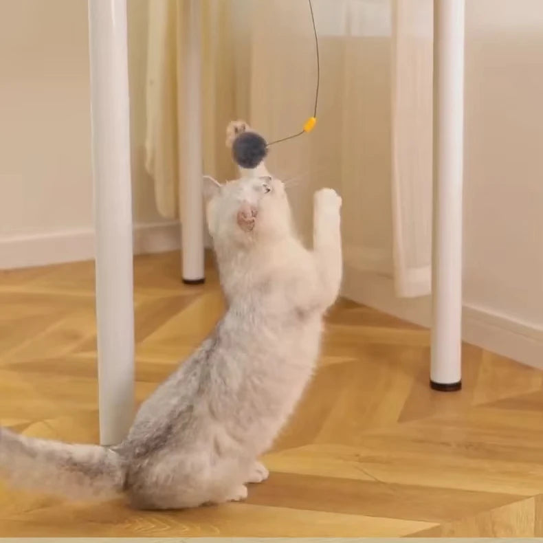 Pet Toys Automatic Lifting cat Teasing Ball Self Pleasure Relaxation Toy Ball Automatic Extension Retraction Cats