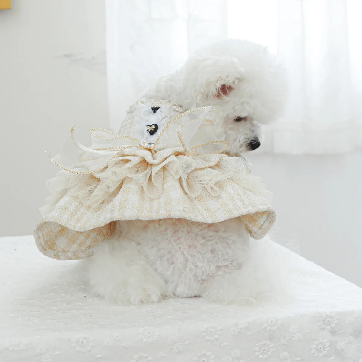 Dog Dress Lace Ruffles Pearl Bowknot Small Pet Party Pet Clothing Autumn Winter Fragrance Style Dress