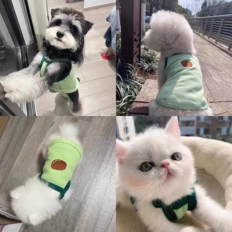 Cute Bear Spring Autumn Thin Tank Top Dog Clothes Compared Bear Pet Kitten Miyok Xia Shanari Pet Clothes