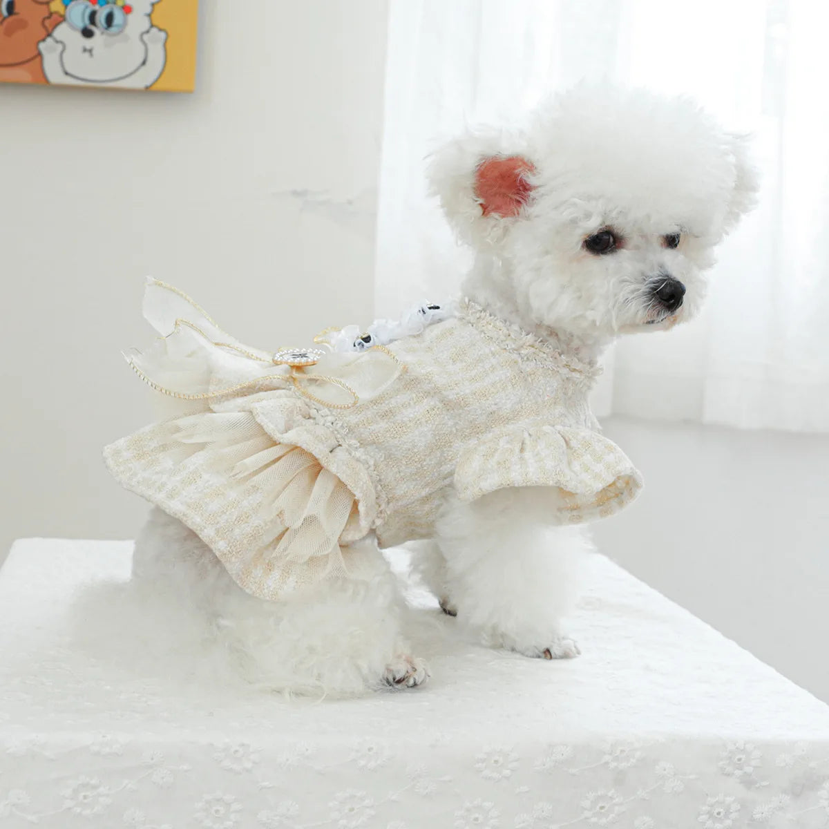 Dog Dress Lace Ruffles Pearl Bowknot Small Pet Party Pet Clothing Autumn Winter Fragrance Style Dress