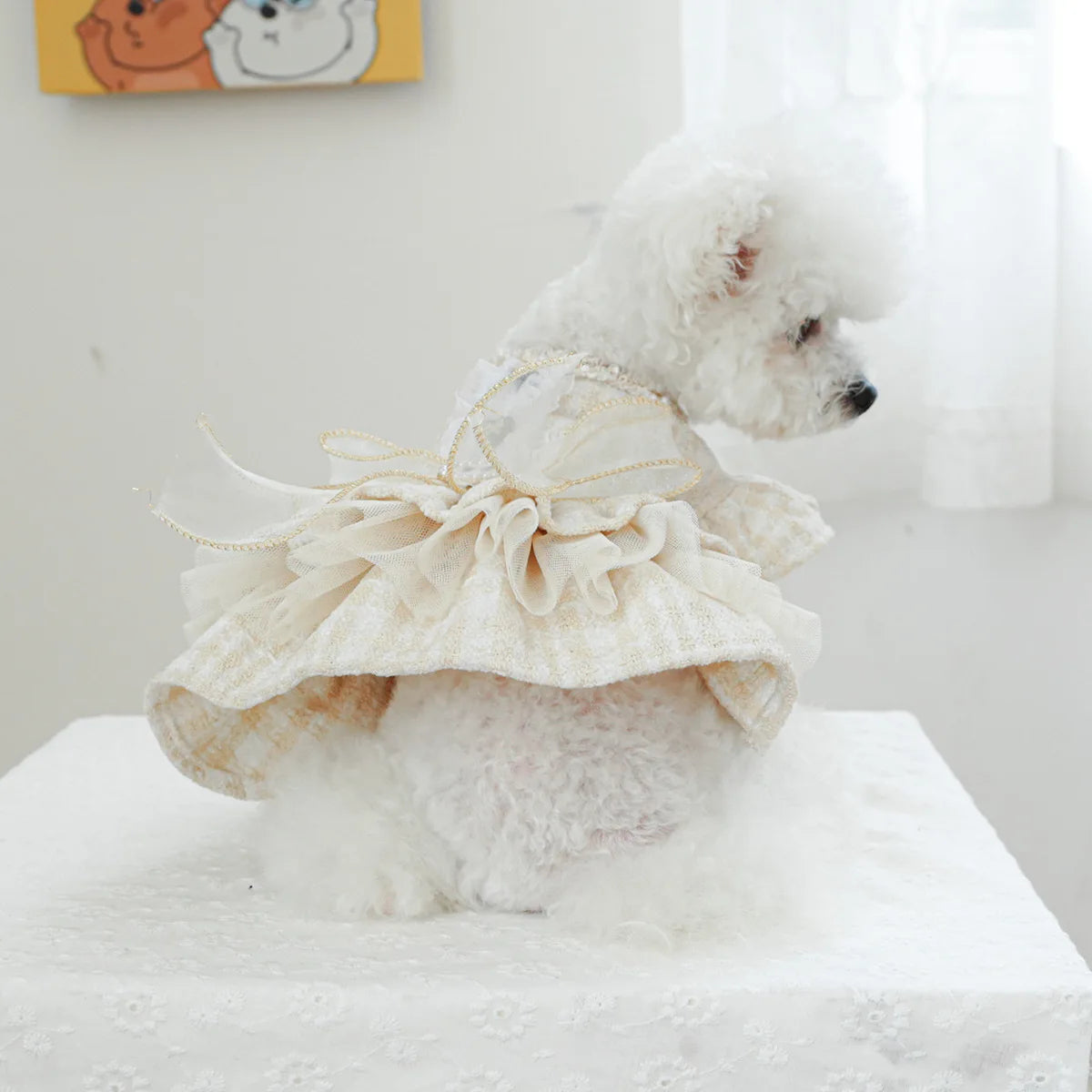 Dog Dress Lace Ruffles Pearl Bowknot Small Pet Party Pet Clothing Autumn Winter Fragrance Style Dress