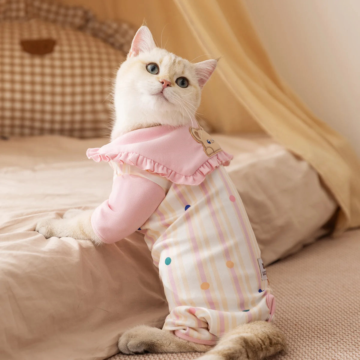 Autumn and winter cat clothes made of soft and warm fleece prevent cold Devon cat and hairless pet clothes for cat