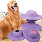 Dog Toys Pet Chewing Bio Based Rubber Biodegradable Outdoor Sports Interactive Running Running Pet Gnawing Toys
