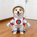 Cross-border Polyester Pet Clothing Funny Dagger-transforming Costume Halloween Pet Supplies Small Dogs Dog Clothes Fall Winter