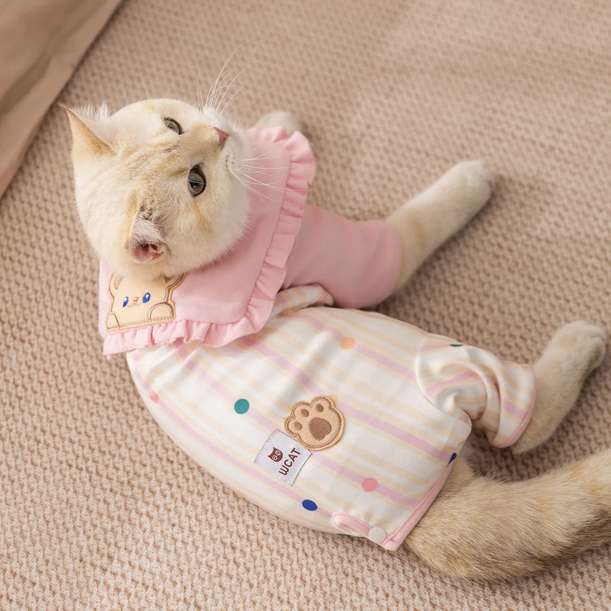 Autumn and winter cat clothes made of soft and warm fleece prevent cold Devon cat and hairless pet clothes for cat