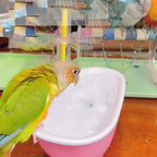 Parrot Bathtub Bird Bathing Electric Bathing Toys Bathing Supplies Premium Bird Supplies Automatic cycle shower