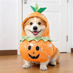 Cross-border Polyester Pet Clothing Funny Dagger-transforming Costume Halloween Pet Supplies Small Dogs Dog Clothes Fall Winter