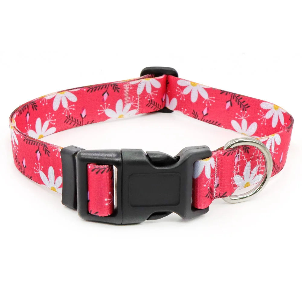 Digitally Printed Bohemian Ethnic Style Modern Striped Adjustable Fabric Canvas Dog Collar with Buckle Closure