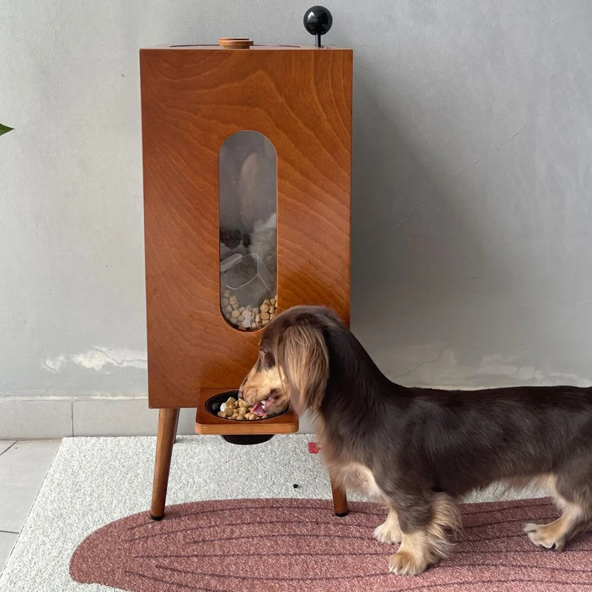 Wooden Pet Feeder Food Dispenser Large Capacity Suitable Cats Dogs Moisture Proof Healthy Manual Portion Control